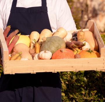 THE AUTUMN DELICACIES OF SOUTHERN FRANCE