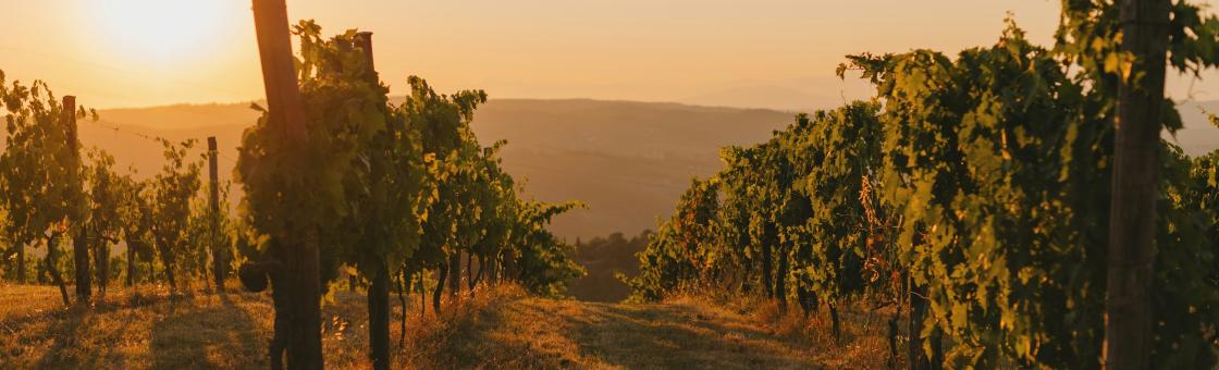 Villa Miraé - Expériences